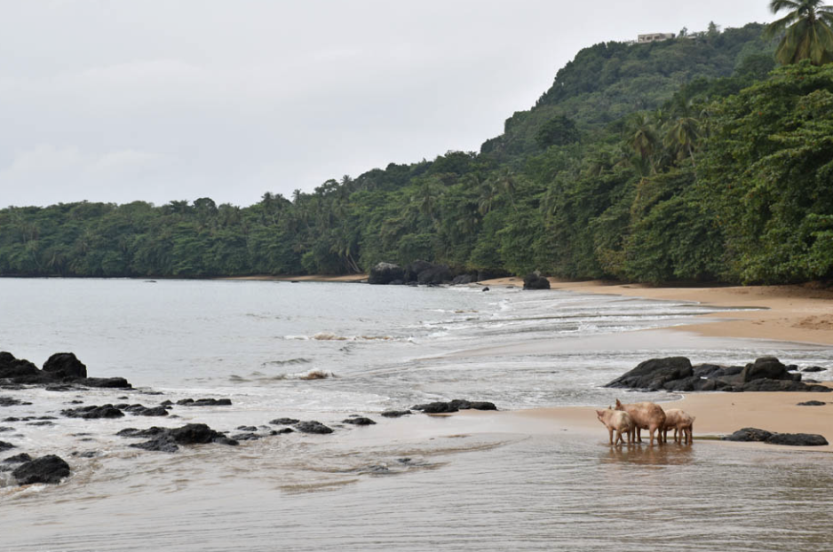Praia Burra e almoço à beira-mar